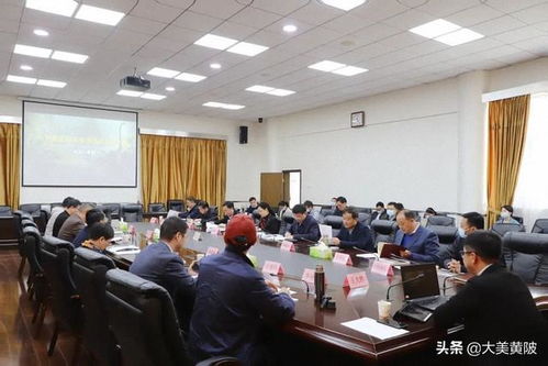 區(qū)領(lǐng)導(dǎo)專(zhuān)題聽(tīng)取武漢中華恐龍園旅游度假區(qū)項(xiàng)目設(shè)計(jì)方案匯報(bào)