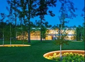 植物遇上燈光 不一樣的夜間風(fēng)情與旅游開(kāi)發(fā)項(xiàng)目策劃